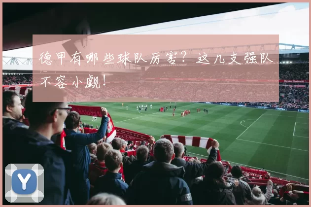 德甲有哪些球队厉害？这几支强队不容小觑！