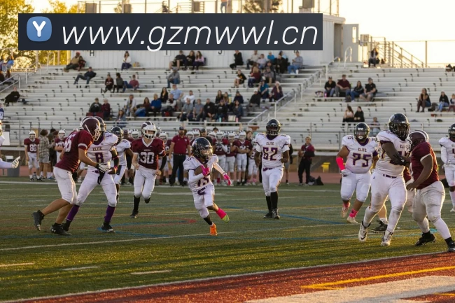 辅助工具 辅助工具